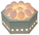 Овоскопы Овоскопы