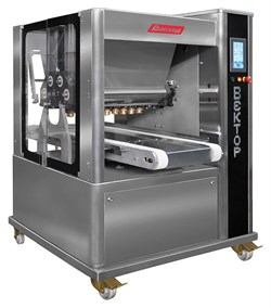 Отсадочная машина Восход Вектор-220 E80009 - фото 2988669