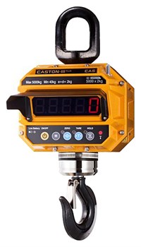 Крановые весы CAS Caston-III 15 THD TW-100 (TWN) E41642 - фото 3005649