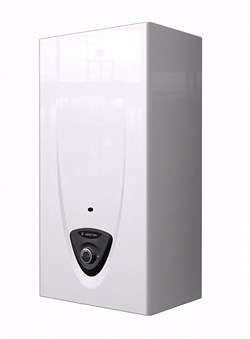 Газовый проточный водонагреватель Ariston FAST EVO ONT B 11 M18199 - фото 4804363
