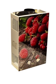 Газовый проточный водонагреватель WERTRUS 10EG BERRY (Wert Rus) M178778 - фото 4804451