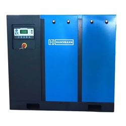 Винтовой компрессор HANSMANN RS22A 558-150330 - фото 5240676