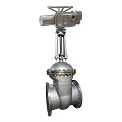Задвижка клиновая 30нж964нж DN GVWR2434M-2W-F Ду50 Ру25 фланцевая корпус - нержавеющая сталь 12Х18Н9ТЛ, уплотнение - металл, c ОСТ-фланцеми круглым штоком управление - электропривод DN MT-N-010EM-O2-220-У1 220В D040-08187 - фото 5366176
