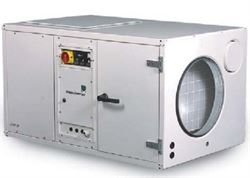Промышленный осушитель воздуха Dantherm CDP 165 M5385 - фото 5463618