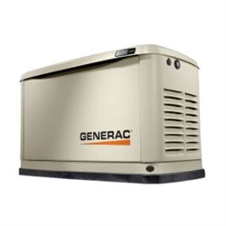 Газовый генератор GENERAC 7189 в кожухе 548-089615 - фото 5531368
