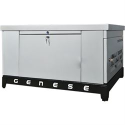 Газовый генератор Genese GE80 (в шумозащитном кожухе) 548-093758 - фото 5531494