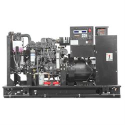 Газовый генератор GENERAC SG36/PG32 548-072897 - фото 5531596