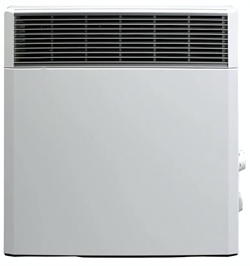 Конвектор электрический TECHNOTHERM CPH 1000 E M175506 - фото 5750871