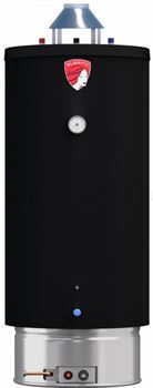Газовый накопительный водонагреватель Federica Bugatti FED WH200 M281684 - фото 6111813