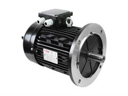 Электродвигатель Ecoflam 6XM 100L2, 3 кВт, 65312555 A62630 - фото 6352494