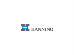 Электродвигатель Hanning O1A095-050P0020-036-001OF0-655 A4794 - фото 6353345