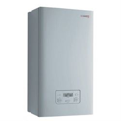 Настенный газовый котел Protherm Gepard 23 MTV (0010015238) 98354744 - фото 6592286