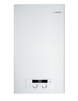 Настенный газовый котел Protherm Рысь HK 24 (10015239) 98530443 - фото 6598199