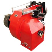 ДИЗЕЛЬНАЯ ГОРЕЛКА ECOFLAM MAIOR P 700.1 G1584516580