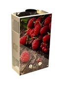 Газовый проточный водонагреватель WERTRUS 10EG BERRY (Wert Rus) M178778