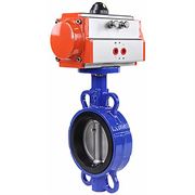 Затвор дисковый поворотный DN GG25-316L-NBR Ду50 Ру16 с пневмоприводом DA-065 двойного действия D050-24815