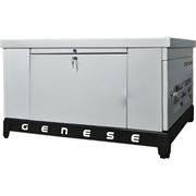 Газовый генератор Genese GE350 (в шумозащитном кожухе) 548-093768