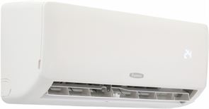 Бирюса Fortuna B-09FPR/B-09FPQ M196019
