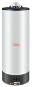 Газовый накопительный водонагреватель Favorit FGS-300L GSWH M255736