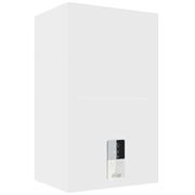 Настенный газовый котел Ferroli BLUEHELIX HITECH RRT 28 C (RU) M195369
