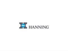 Электродвигатель Hanning O1A095-050P0020-036-001OF0-655 A4794