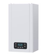Настенный газовый котел ECA GERDA 11 HM NG 98548785