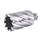 Сверло корончатое по металлу ПрофОснастка d 39 L=55/88 мм №33 Weldon19 HSS M2 252-147567 - фото 4864832 Сверло корончатое по металлу ПрофОснастка d 39 L=55/88 мм №33 Weldon19 HSS M2 252-147567 - фото 4864832