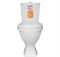 Унитаз компакт SANITA Формат Стандарт белый T0024396 - фото 5432805