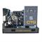 Дизельная электростанция CTG AD-22RE 620-071180 - фото 5521036