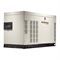 Газовый генератор GENERAC RG 027 в кожухе 548-072893 - фото 5531553