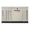 Газовый генератор GENERAC RG 027 в кожухе 548-072893 - фото 5531554