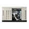 Газовый генератор GENERAC RG 027 в кожухе 548-072893 - фото 5531555