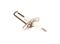 Электрод розжига Protherm ZE 588, 0020027508 A113460 - фото 5775331