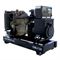 Дизельный генератор GMGen Power Systems GMJ120 549-064658 - фото 5860388