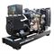 Дизельный генератор GMGen Power Systems GMJ165 549-064660 - фото 5860574