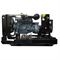 Дизельный генератор Genelec ED200/400 D 549-073250 - фото 5866038