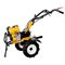 Мотокультиватор FIRMAN POWER TILLER FGT-7/100G 169-067786 - фото 5946889