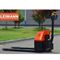 Самоходная электрическая тележка LEIMANN EL 15 861-041943 - фото 6018617