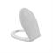 Сиденье Milardo сиденье для унитаза 010PP00M31 T0019928 - фото 6099646